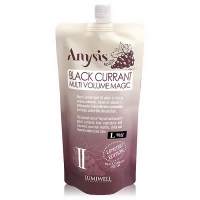 [루미웰] 애니시스 블랙커런트 멀티볼륨 매직크림 중화제[액상타입] 500ml (과수 중화제)