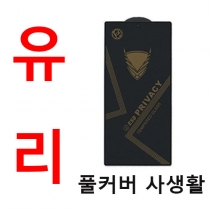 *S26입고* 갤럭시 풀커버 사생활 강화유리필름 S22 S23 S24 S25 플랫형