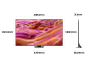 삼성 2025 Neo QLED QNF90 247cm(98인치) TV KQ98QNF90AFXKR *