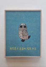 부엉이1