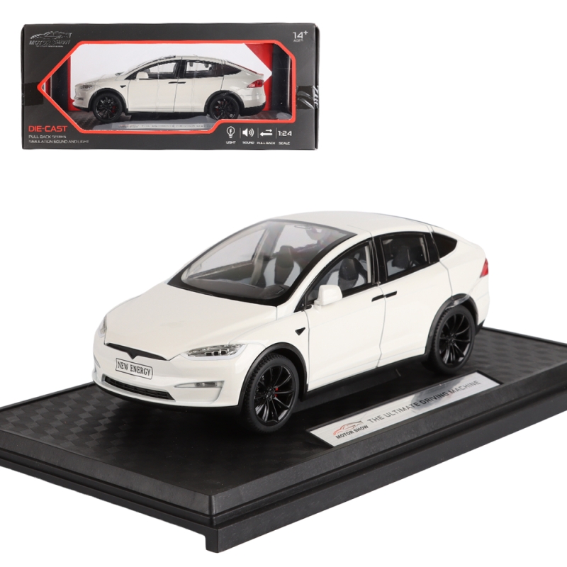 모터쇼 TSLA X모델 화이트