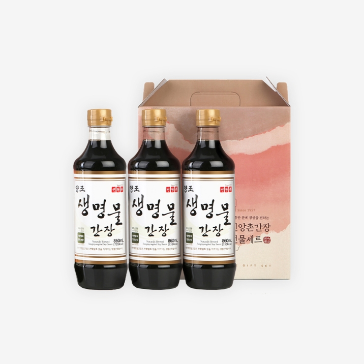 진 13호