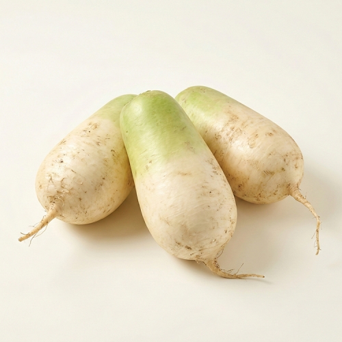 [산지직송] 해풍 맞은 아삭 꿀무