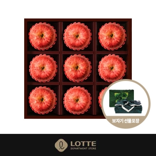 [롯데백화점] FRUTTO 특선 사과(대) 선물세트 [2.5kg/9과]