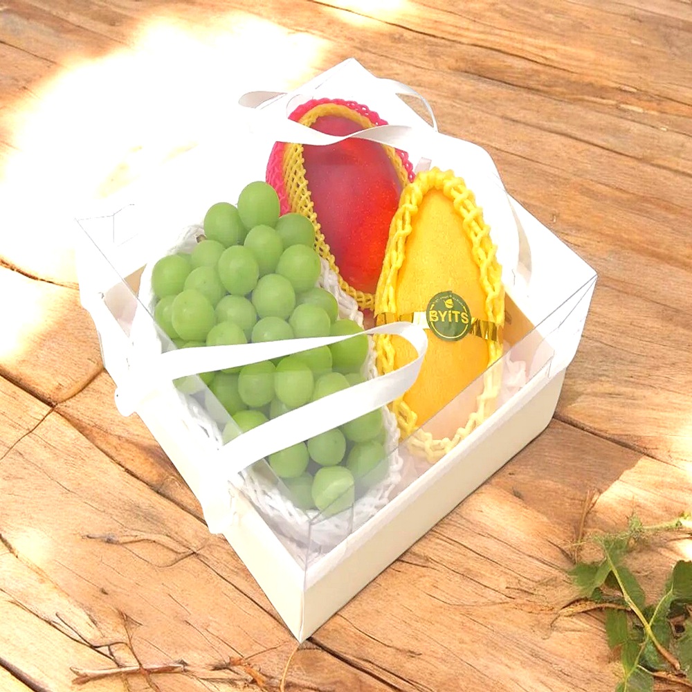 가성비세트 4호 샤인머스켓 500g*1송이+태국망고280g내외*1과+애플망고400g내외*1과