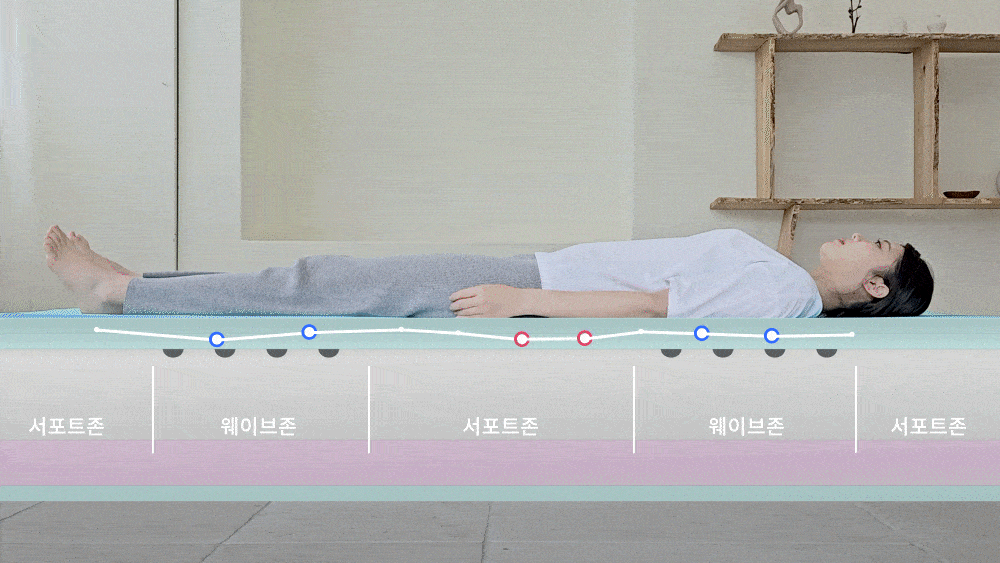 5존 분할 설계: 웨이브/서포트존으로 신체 부위별 체압 분산