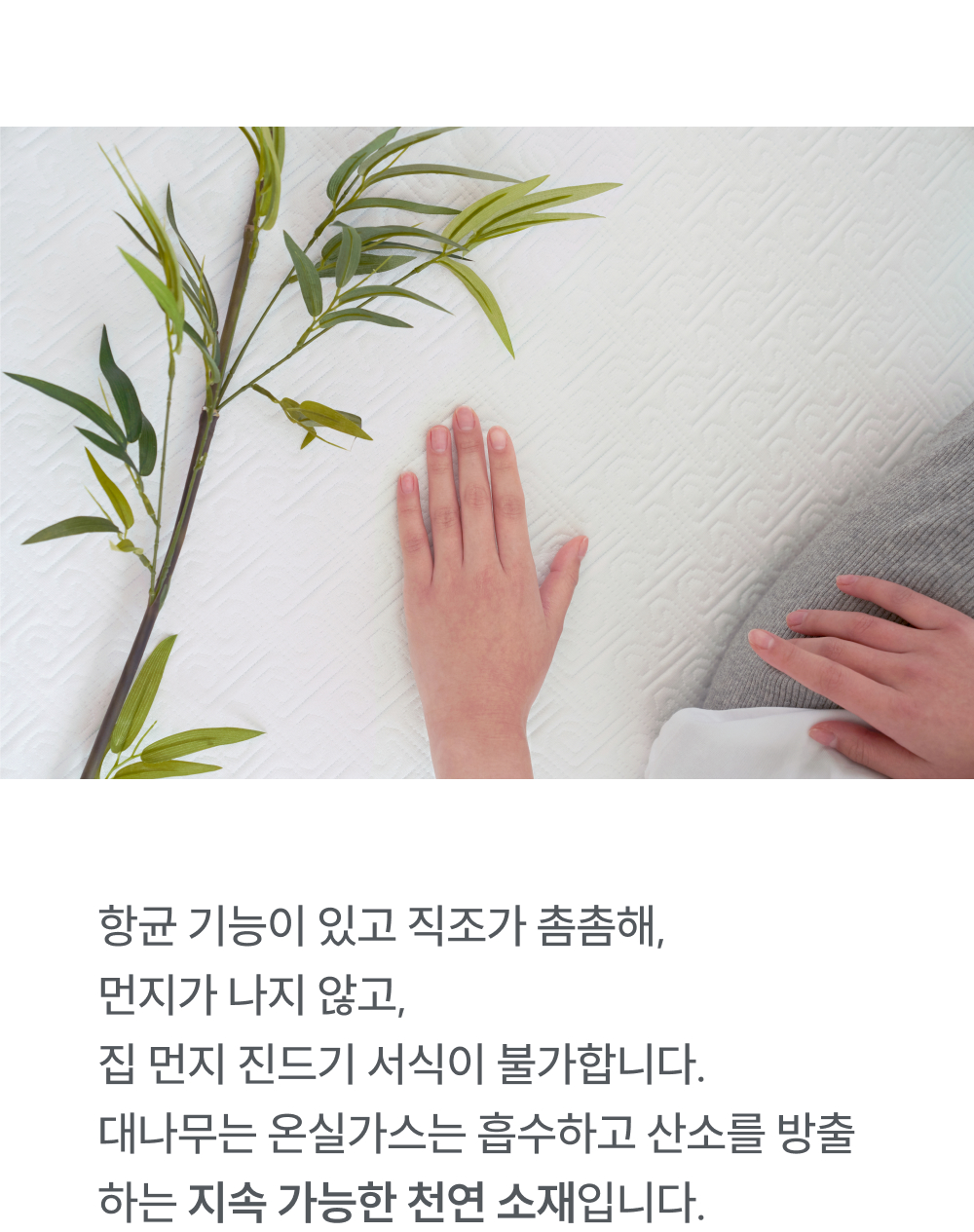 피부에 순한 오가닉 대나무 소재: OEKO-TEX 1등급 인증