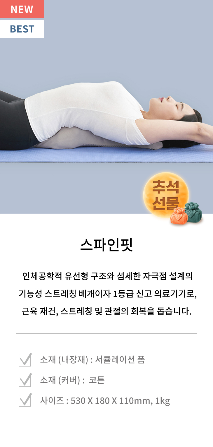 스파인핏