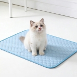 강아지 쿨매트 고양이 쿨방석 소형(50x40cm) 에어솜 세탁가능