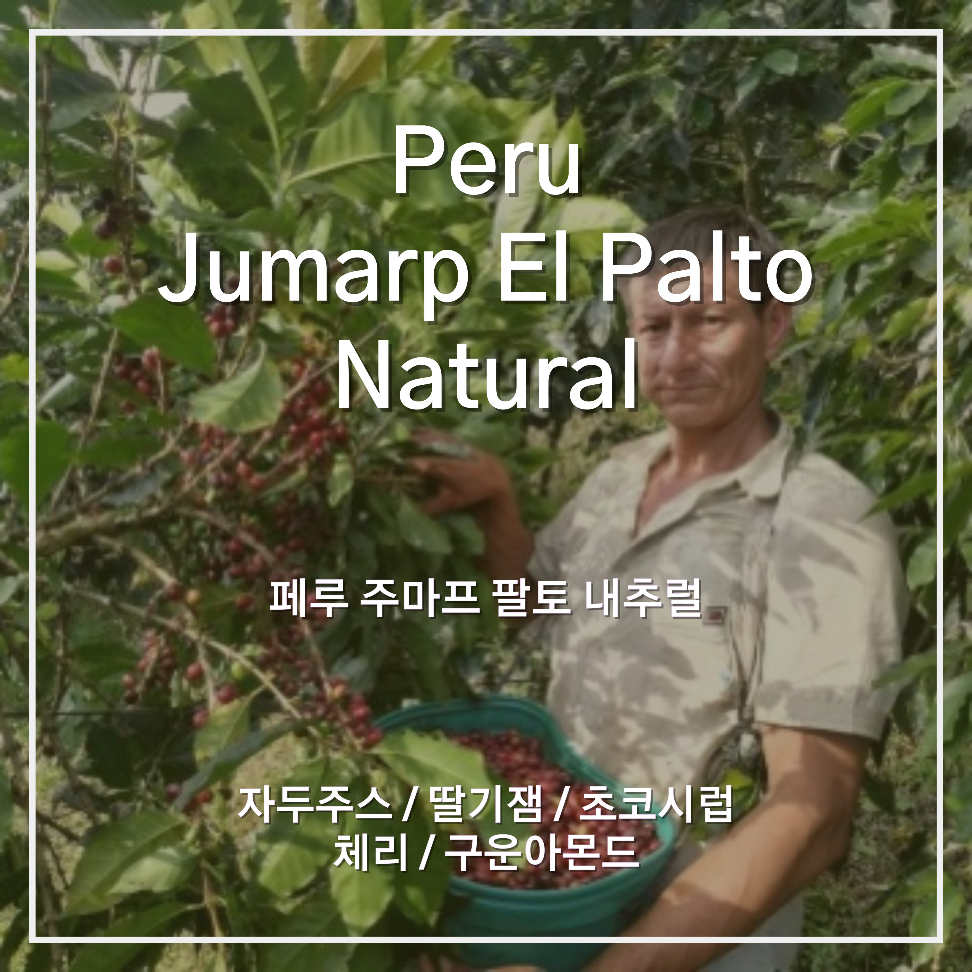 페루 주마프 팔토 내추럴