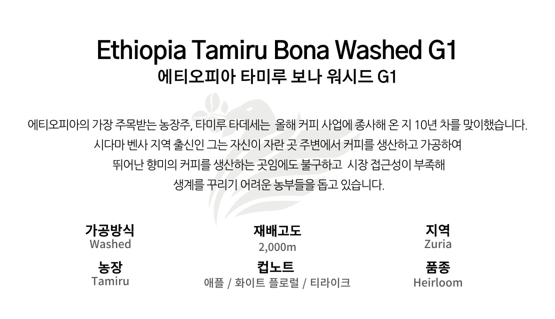에티오피아 타미루 보나 워시드 G1