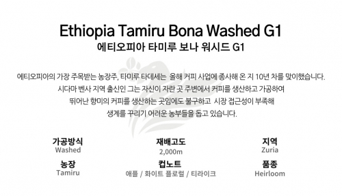 에티오피아 타미루 보나 워시드 G1