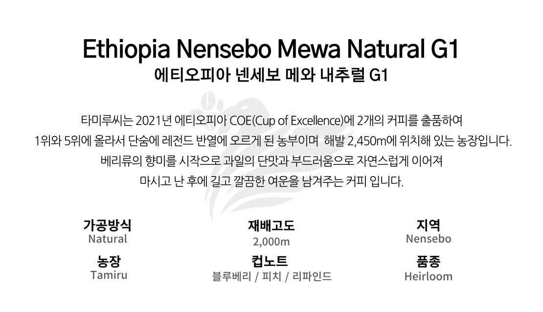 에티오피아 넨세보 메와 내추럴 G1