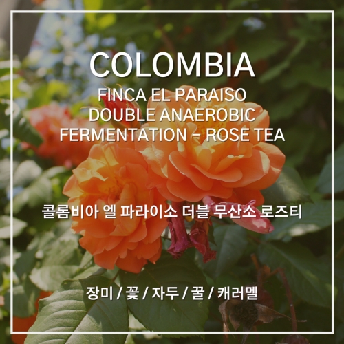 콜롬비아 핀카 엘 파라이소 더블 무산소 로즈티