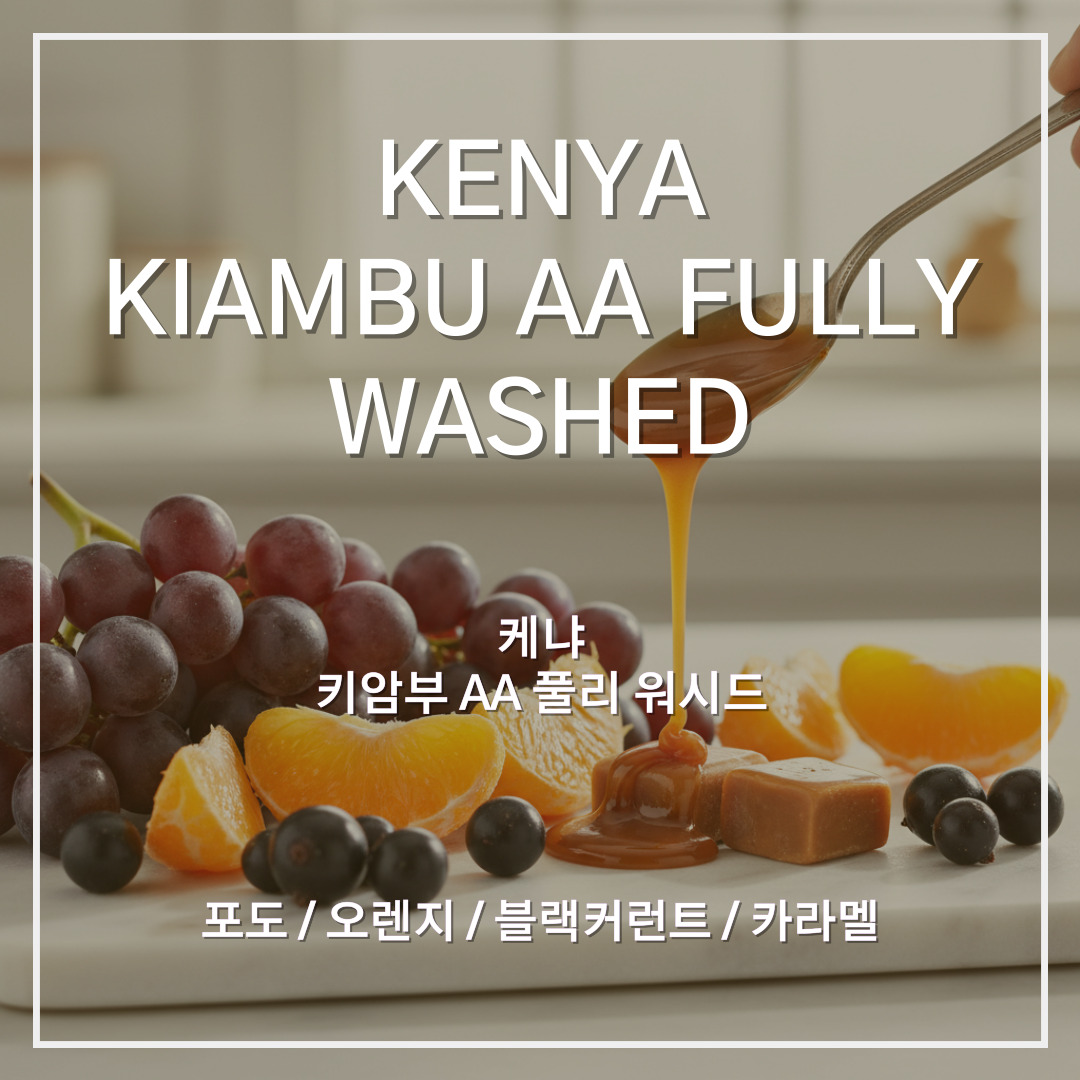케냐 키암부 AA 풀리 워시드