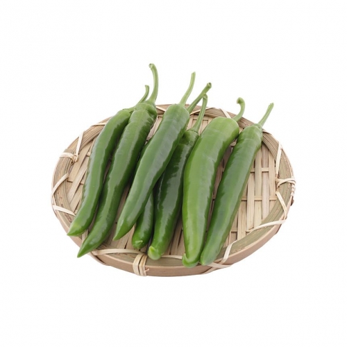 완주로컬푸드 아삭아삭 오이고추 200g