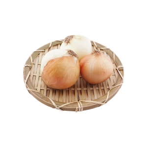 완주로컬푸드 햇 양파 1kg