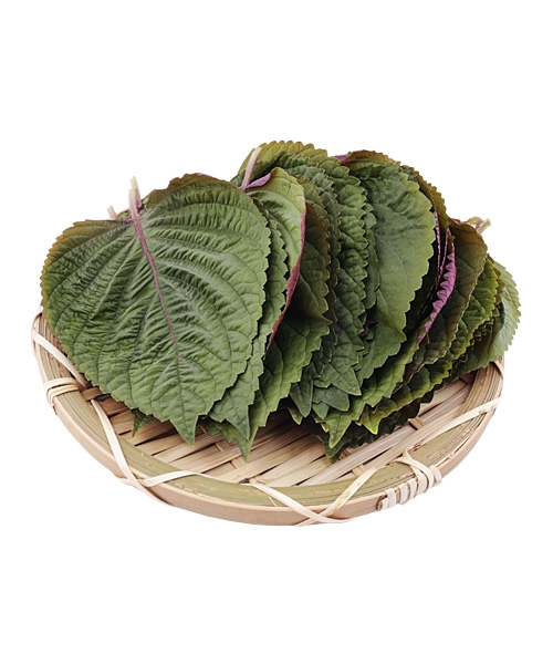 완주로컬푸드 깻잎 25장