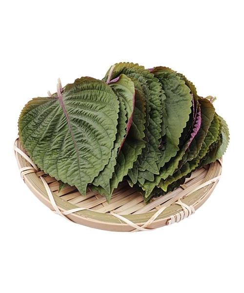 완주로컬푸드 깻잎 25장