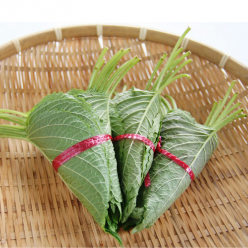 완주로컬푸드 깻잎 25장