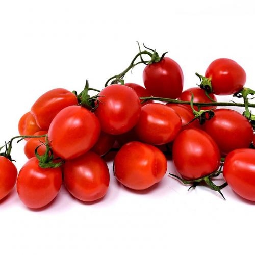 완주로컬푸드 대추방울토마토 1kg