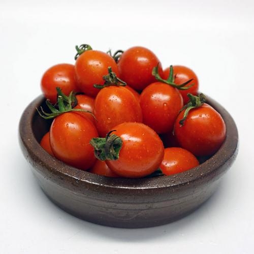 완주로컬푸드 대추방울토마토 1kg