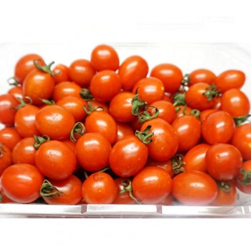 완주로컬푸드 대추방울토마토 1kg