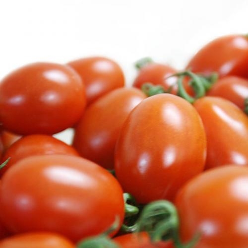 완주로컬푸드 대추방울토마토 1kg