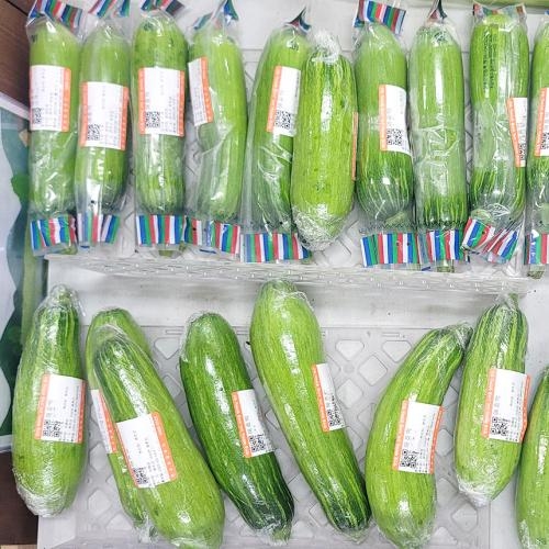 완주로컬푸드 국산 애호박 1개