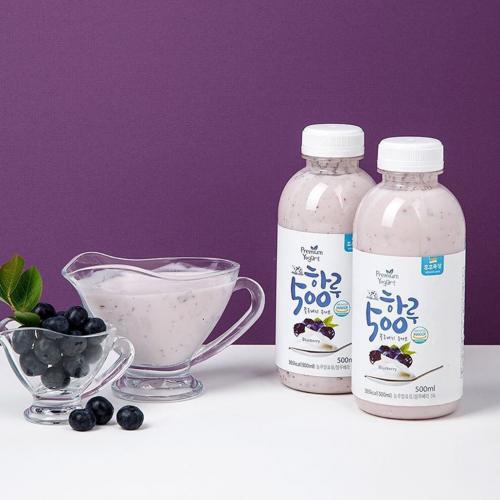 호호목장 하루500 블루베리 요거트 500ml