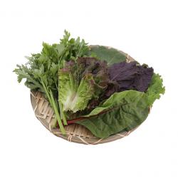 완주로컬푸드 국산 모듬 쌈채소 5~7종 250g