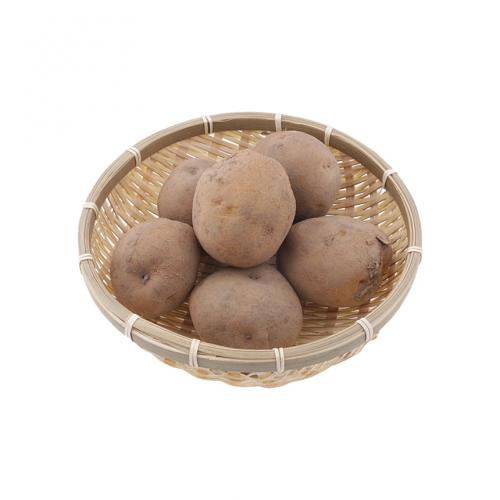 완주로컬푸드 감자 1kg