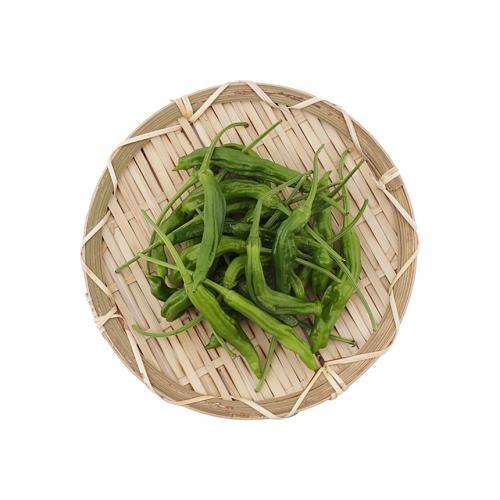 전북완주 꽈리고추 200g