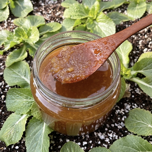 허브스팜 수제토종생강청 500g