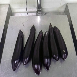 완주산 가지 5kg