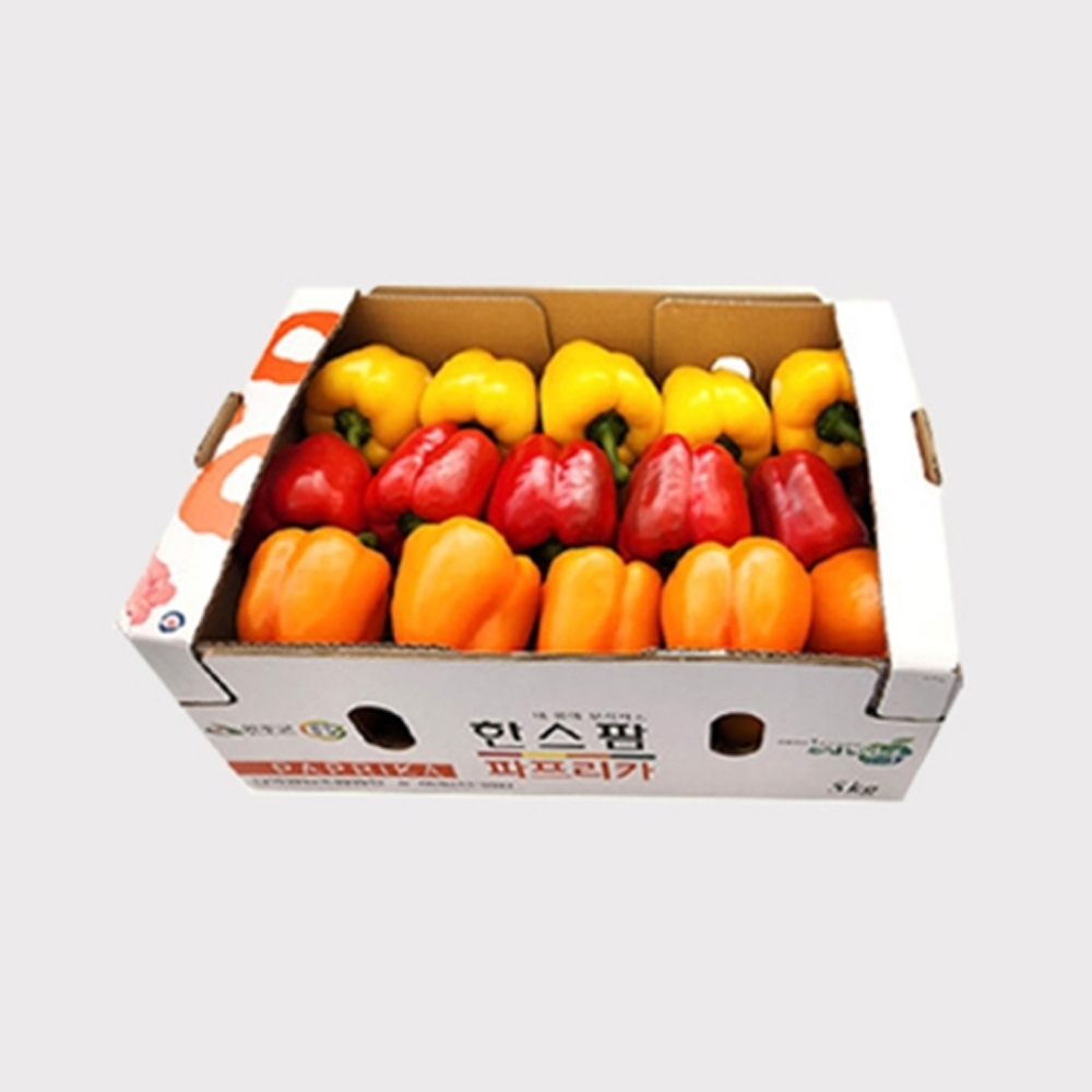 한스팜 가정용 파프리카 5kg
