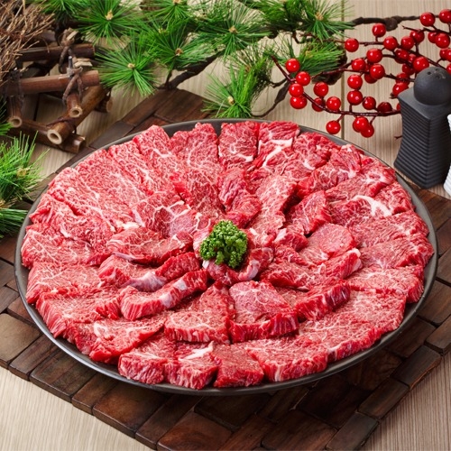 고산미소한우 구이용 치마살 300g