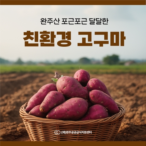 완주산 꿀고구마(찜용) 5kg