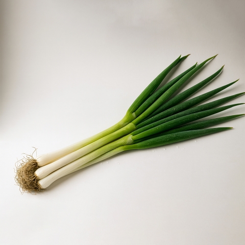 김장데이 완주로컬푸드 대파 500g