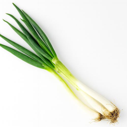 김장데이 완주로컬푸드 대파 500g