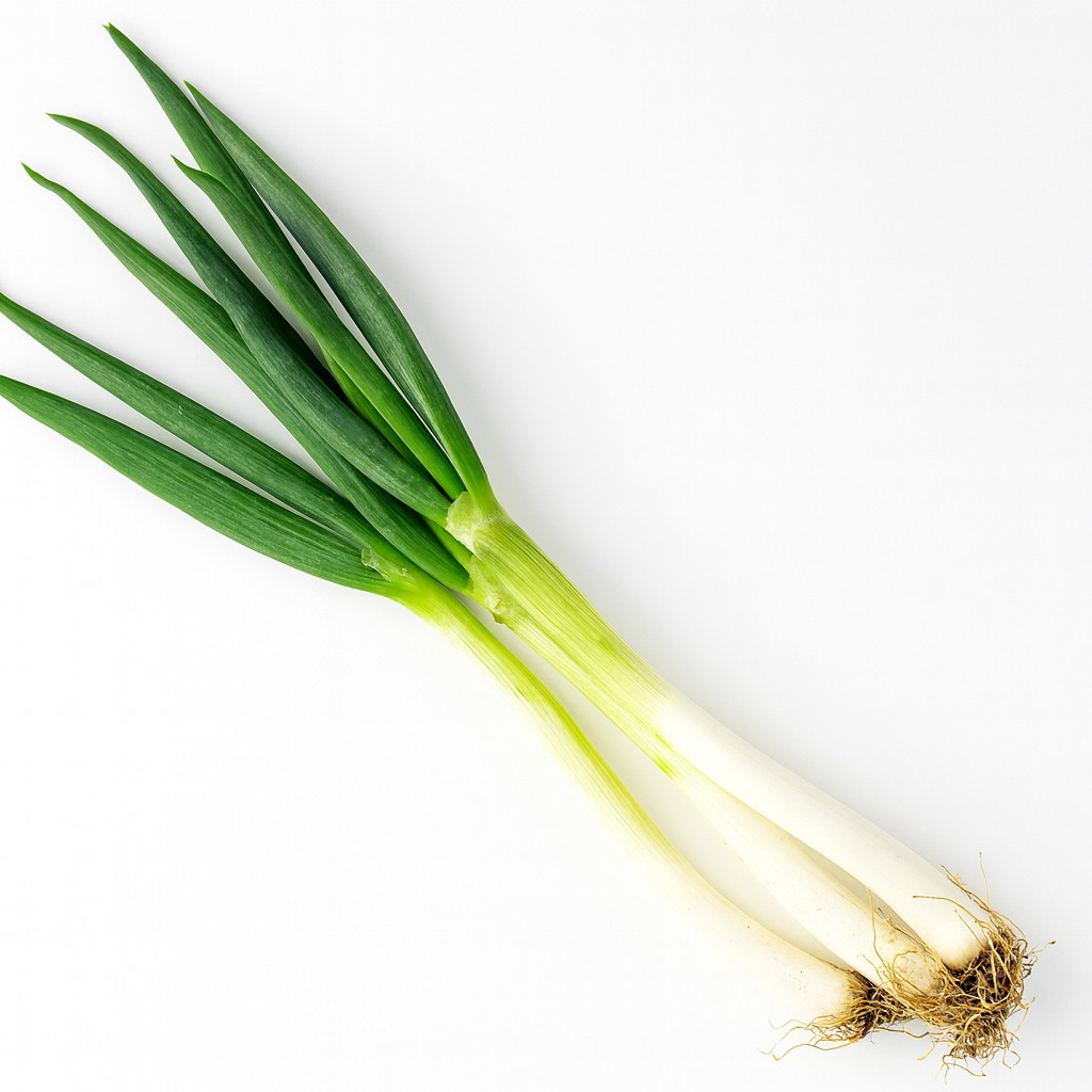 김장데이 완주로컬푸드 대파 500g