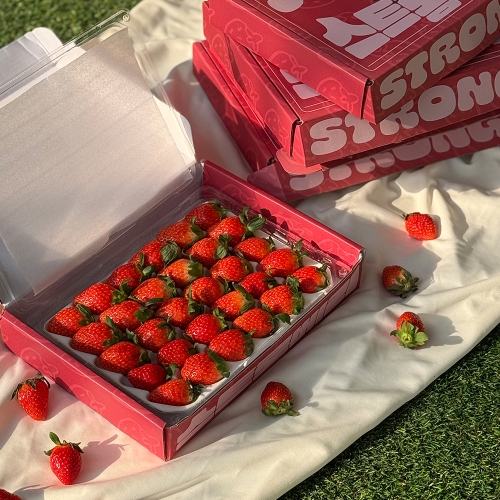 스트롱베리 설향 딸기 850g 이상 /1 박스