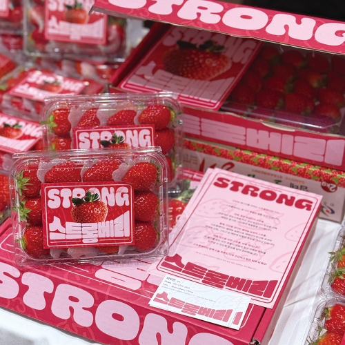 스트롱베리 설향 딸기 850g 이상 /1 박스