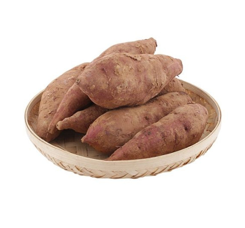 완주로컬푸드 꿀고구마 1kg