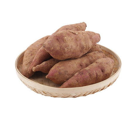 완주로컬푸드 밤고구마 1kg