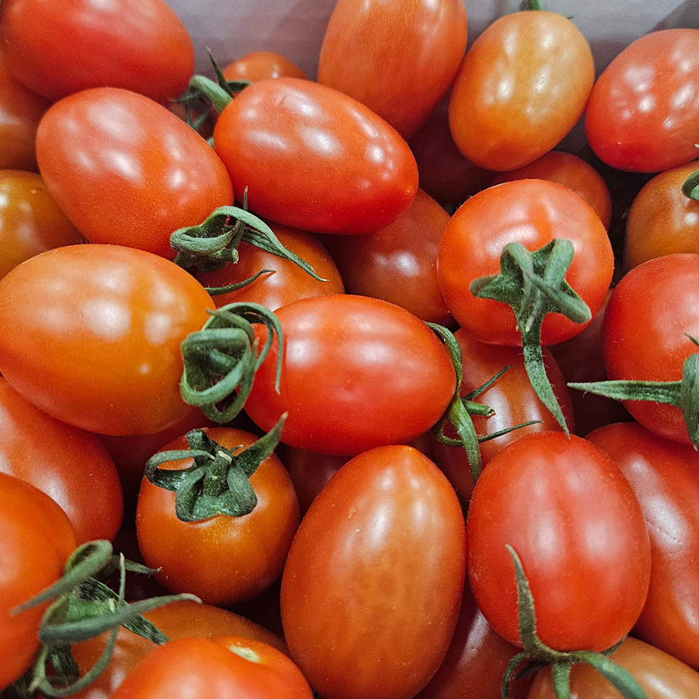 봉동농협 대추방울토마토 2kg