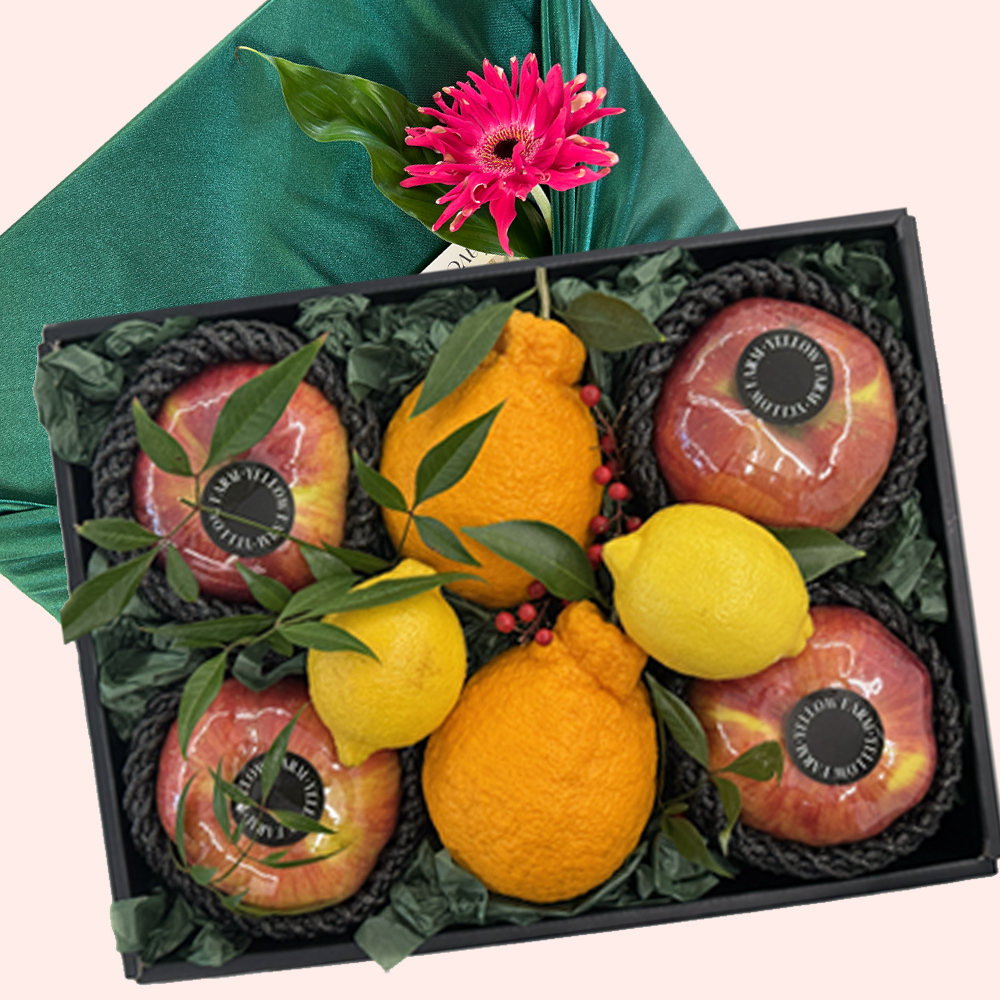 완주몰X옐로우팜 과일 실속형 (소형)  설 선물세트