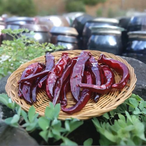 지서농장 26년 국산 햇 건고추 600g~6kg
