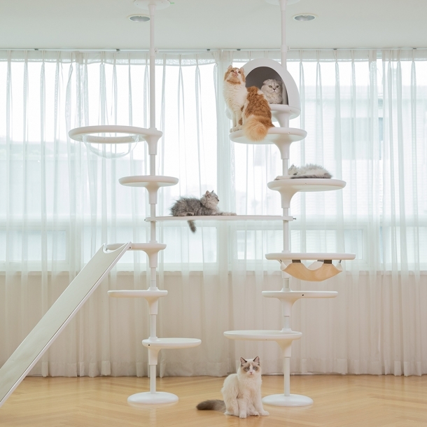 가또페로 화이트폴 A타입 (소:5개)