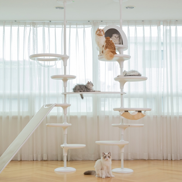 가또페로 화이트폴 C타입 (대:5개)